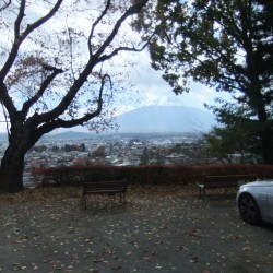 新倉山浅間公園