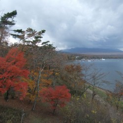 夕焼けの渚・紅葉まつり