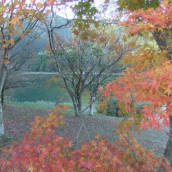 田貫湖