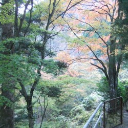 梅が島