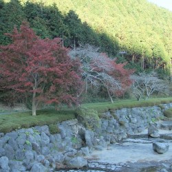 田貫湖