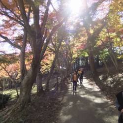 修善寺自然公園