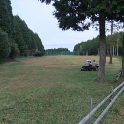 広い駐車場