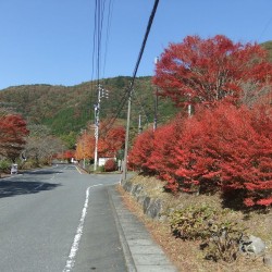 コンヤ温泉