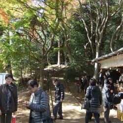 修善寺自然公園