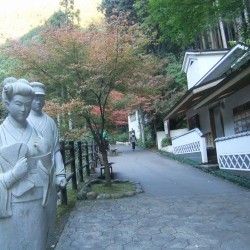 「河津七滝」の紅葉