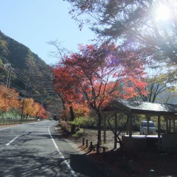 コンヤ温泉