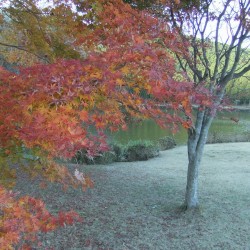 田貫湖
