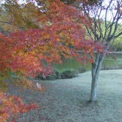 田貫湖