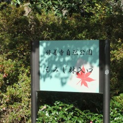 修善寺自然公園