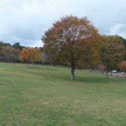 諏訪の森自然公園