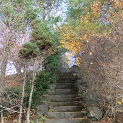 山の神と富士八景