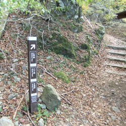 天城
