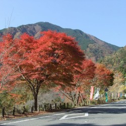 コンヤ温泉