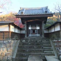 「玉澤妙法華寺」