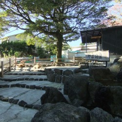 小さな遊園地と動物ふれあいコーナー