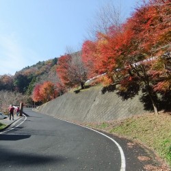 大棚の滝