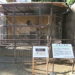 小さな遊園地と動物ふれあいコーナー