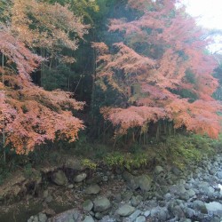 須津川渓谷