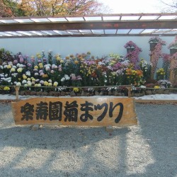 小さな遊園地と動物ふれあいコーナー