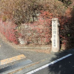 大棚の滝