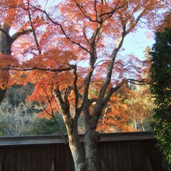 玉澤妙法華寺