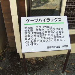 小さな遊園地と動物ふれあいコーナー