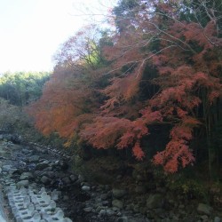 須津川渓谷