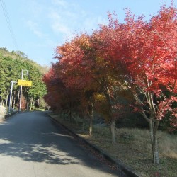 須津川渓谷