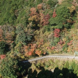 須津川渓谷橋