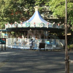 小さな遊園地と動物ふれあいコーナー