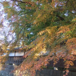 玉澤妙法華寺