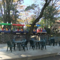 小さな遊園地と動物ふれあいコーナー