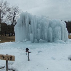 西湖樹氷まつり