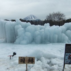 西湖樹氷まつり