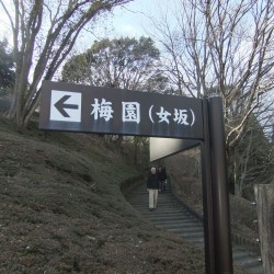 岩本山