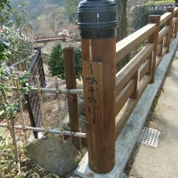 熱海梅祭り