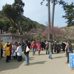 熱海梅祭り