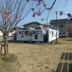 河津桜祭り