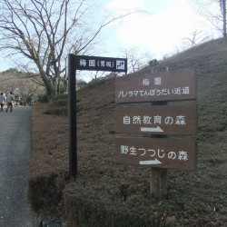 岩本山