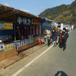 河津桜祭り