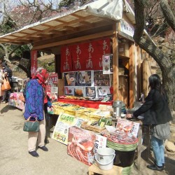 熱海梅祭り