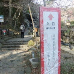 熱海梅祭り