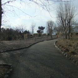 岩本山