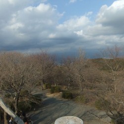 岩本山