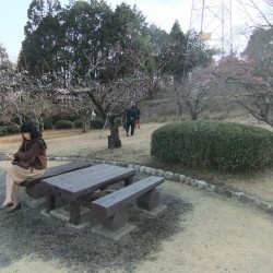 岩本山