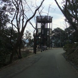 岩本山