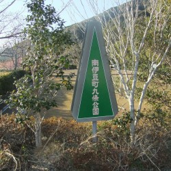 みなみの桜と菜の花まつり