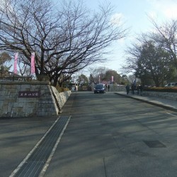 岩本山