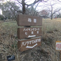 岩本山